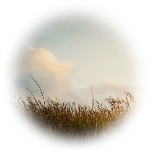 日本におけるEDW/EIの歴史