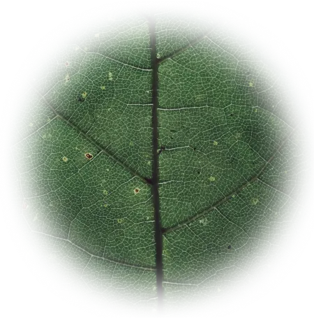 体験のつながりを表現する様子