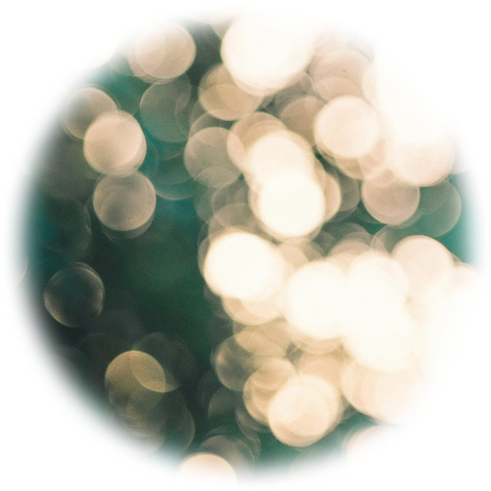 体現的イマジネーション体現的ドリームワークとは