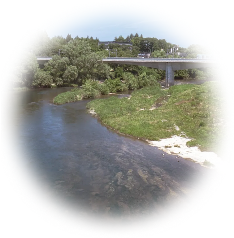 仙台EDWドリームワークグループ